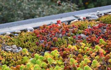the cost of Dalmarnock green roof installation