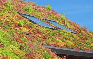 Dalmarnock living roof systems