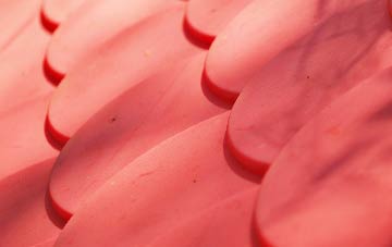 Dalmarnock plastic roof costs