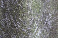 Dalmarnock fibreglass roof work